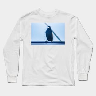 Bird in Calabash Long Sleeve T-Shirt